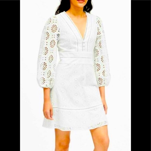 Banana Republic Eyelet Puff Sleeve Dress - Picture 2 of 10